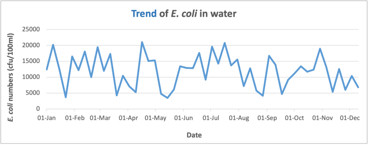 A diagram of a graph.