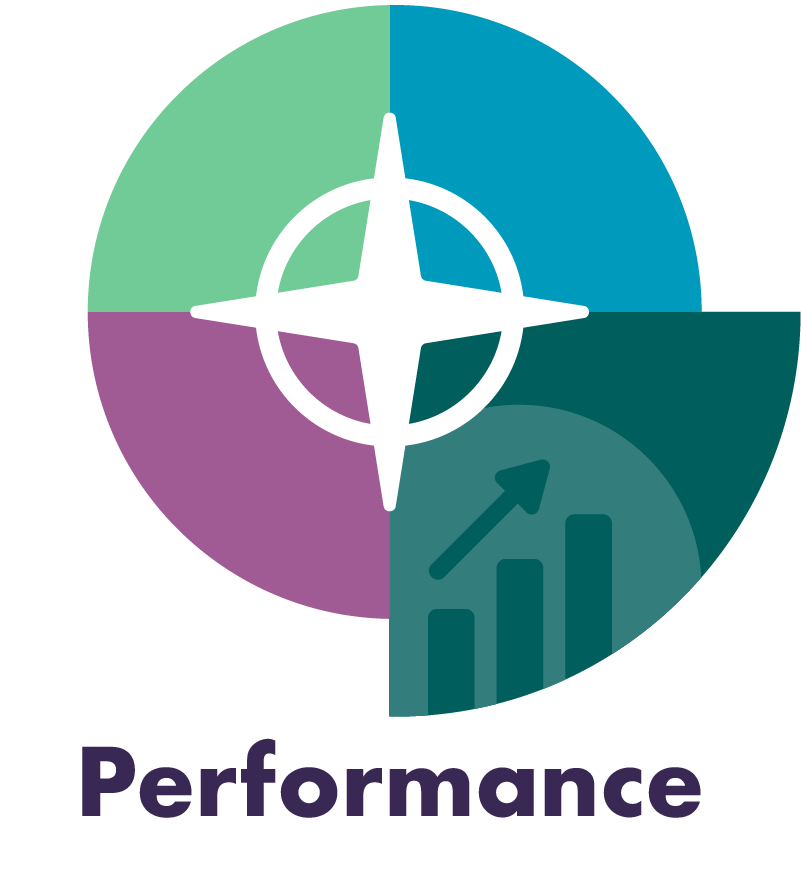 Performance section of business compass